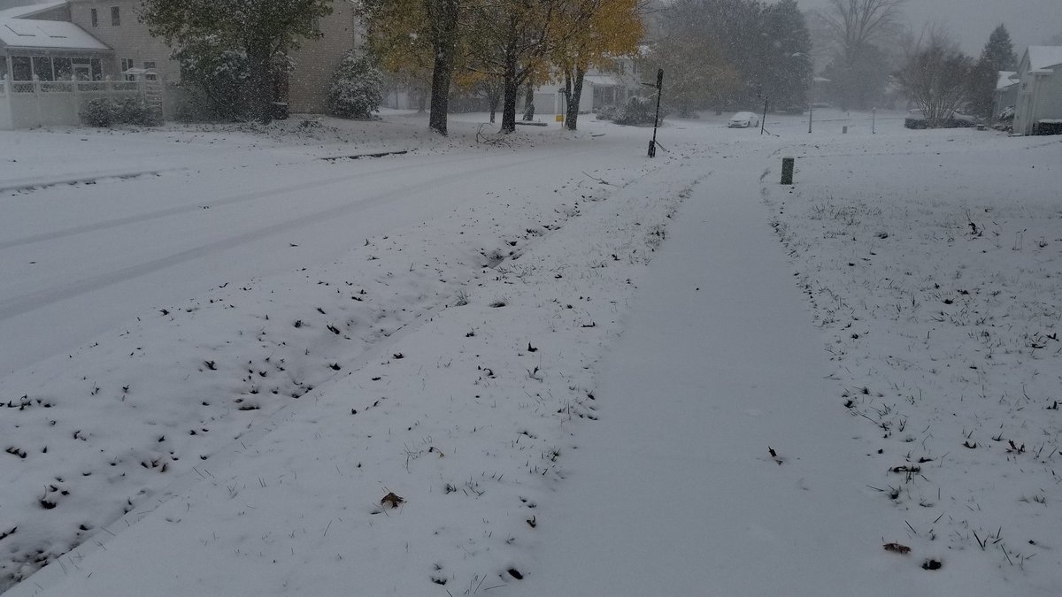 #ThePrincessBride tweet media