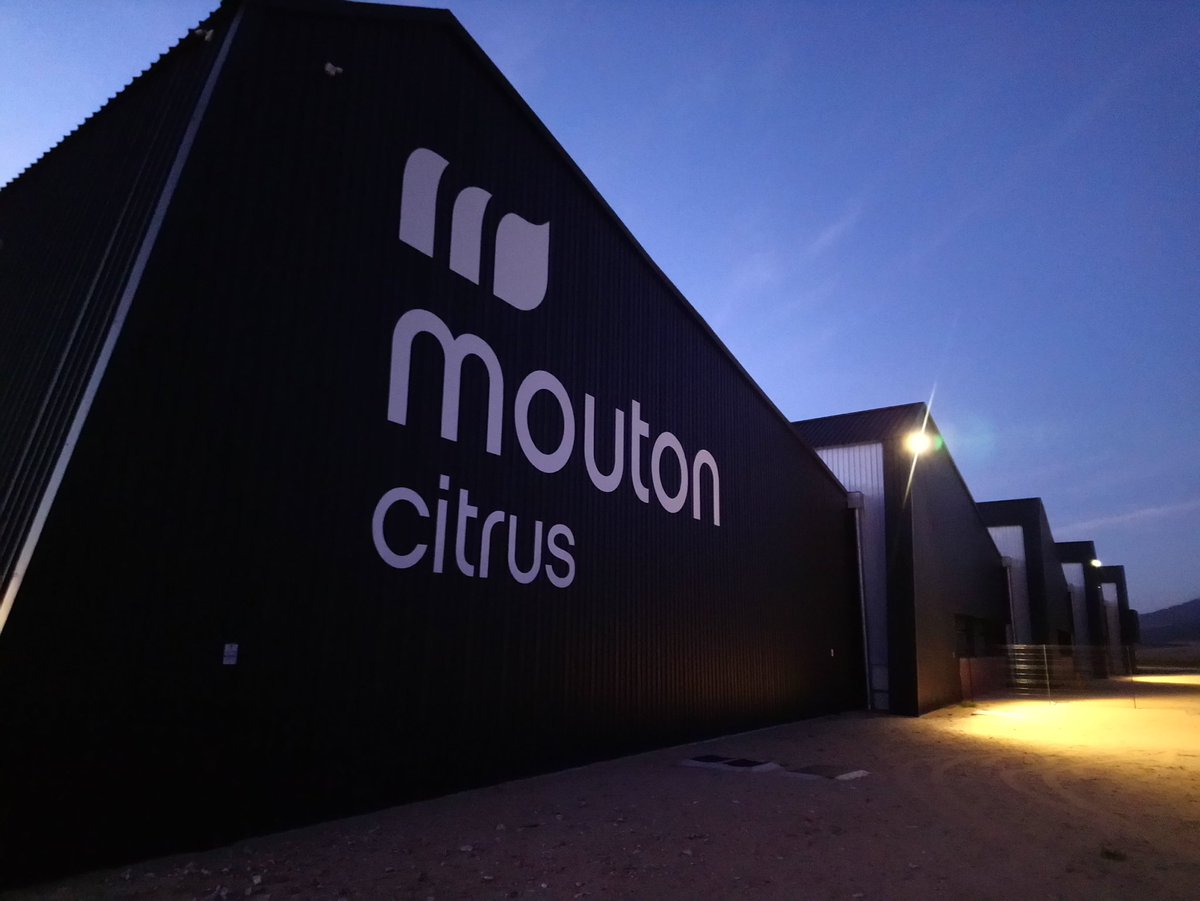 Joe Raspel tweet media