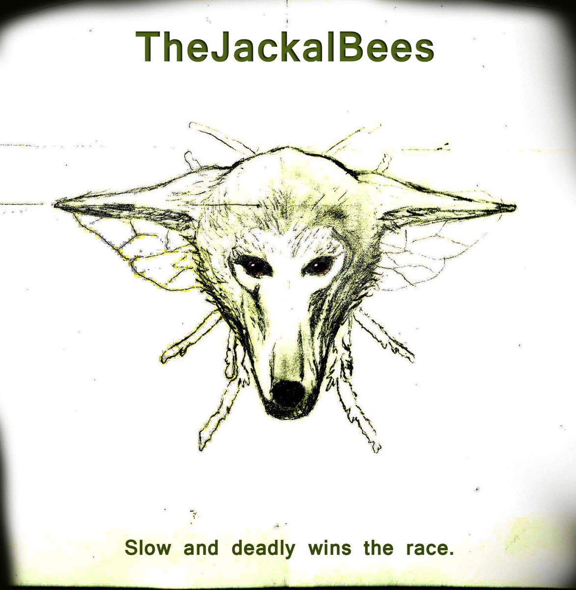 CrowCanna tweet media