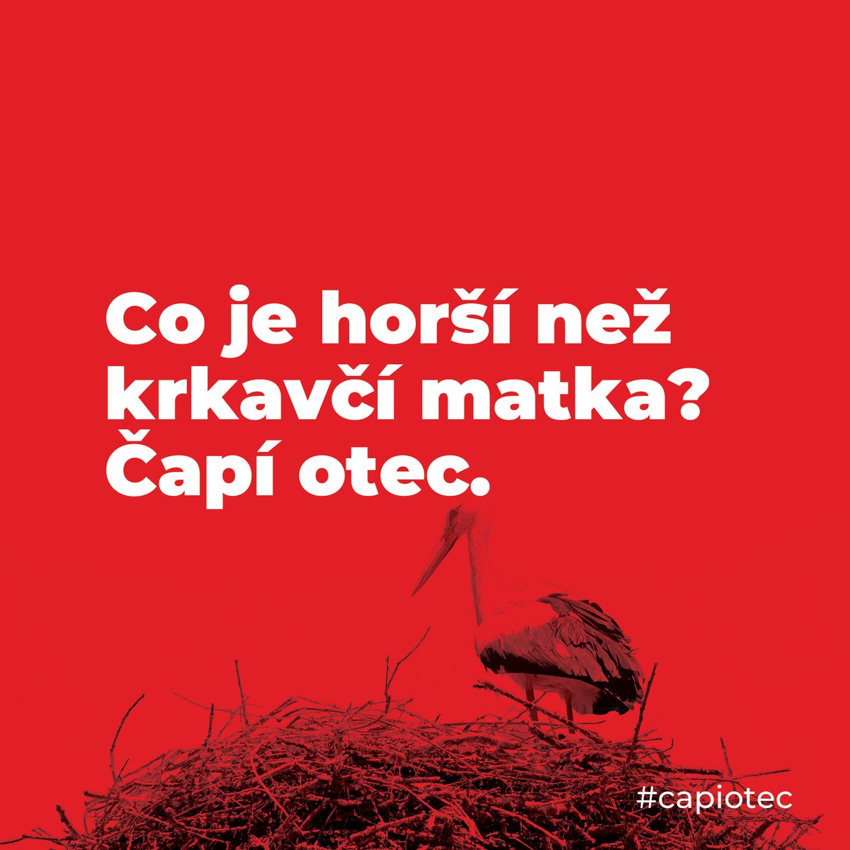 PetrCanik's tweet photo. Co je horší než krkavčí matka? Čapí otec. #capiotec #babis #capihnizdo https://t.co/KsBDF18fo7