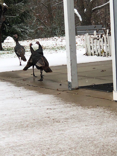 Look who came to visit <a href="/wloec/">WL Outdoor Ed Center</a> today!  <a href="/WalledLkSchools/">Walled Lake Schools</a>