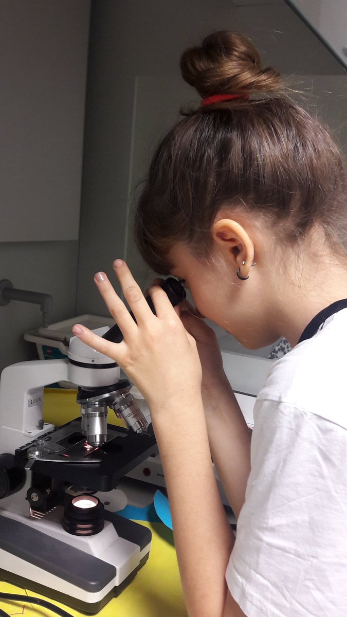 Ataşehir 1'de 6. Sınıflar Dolaşım Sistemini daha iyi kavrayabilmek için #bilimindogası dersinde kan grubu tayini yapıp kanı mikroskopta inceledi 👨‍🔬👩‍🔬 @MUALLA_OZS <a href="/BozkurtRezan/">Rezan Bozkurt</a>