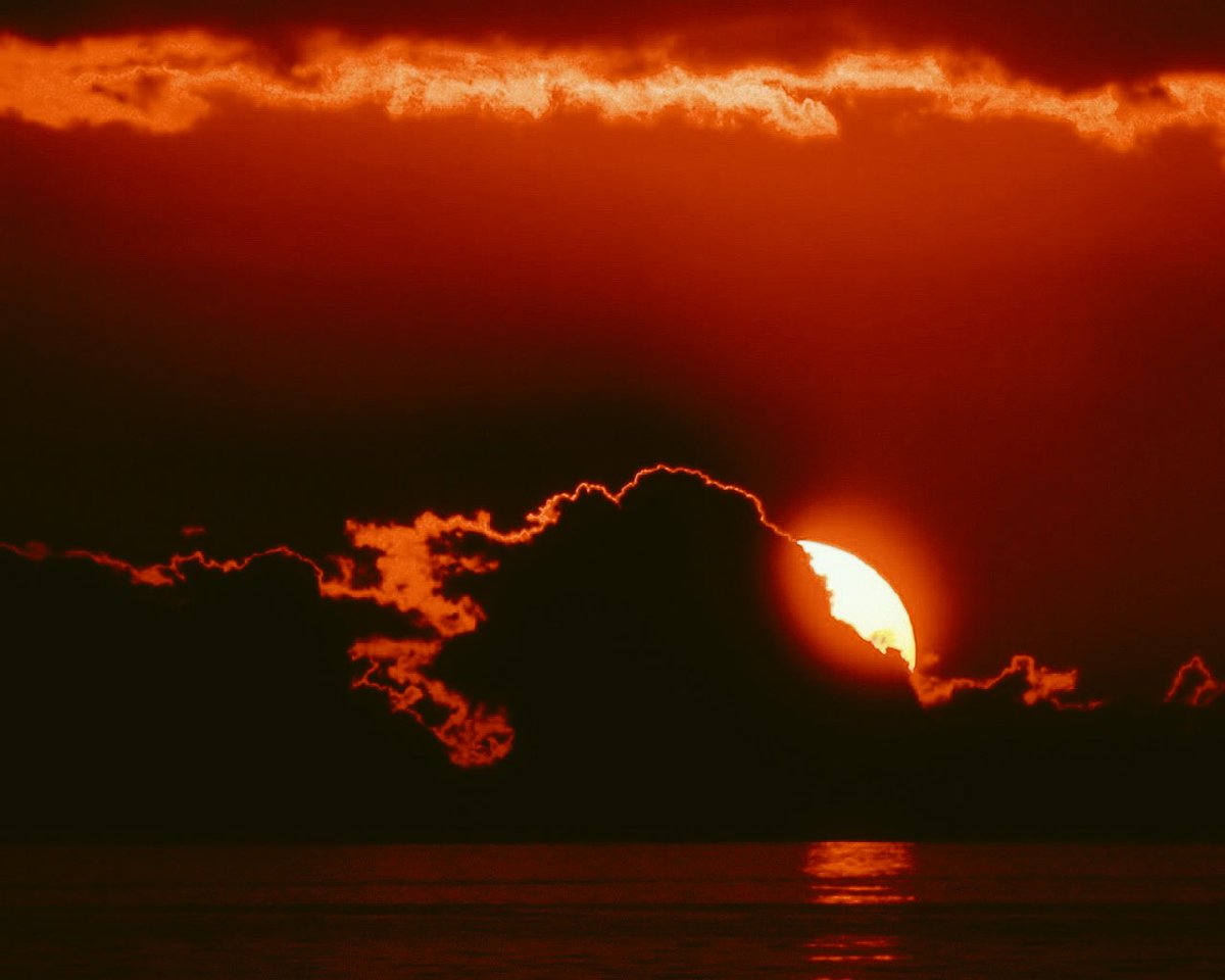 skiessluke's tweet image. 