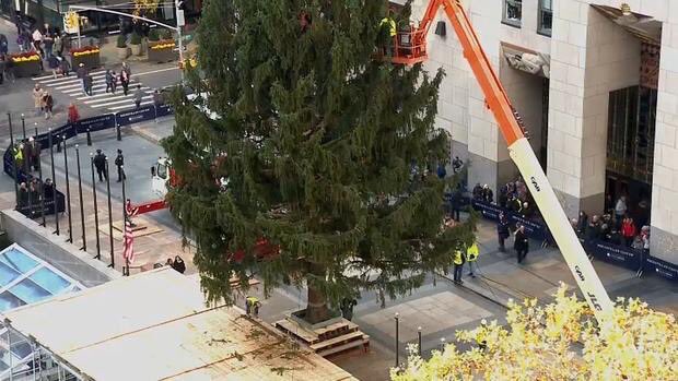 Durante el día de hoy se está colocando el árbol de Navidad en el Rockefeller Center 🎄🗽