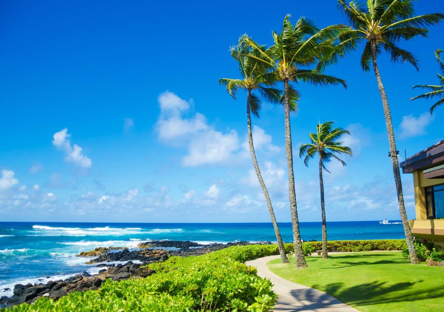 TimeshareBrokr's tweet image. BEAUTIFUL #KAUAI IS CALLING! Annual 2 Bed/2 Bath Ocean View unit during Platinum Season. For more information or to make an offer, please contact us today.
#Hawaii
#vacationrental 
#TimeShare 

hawaiitimeshareresales.net/Marriott&amp;#039;s-Kau…