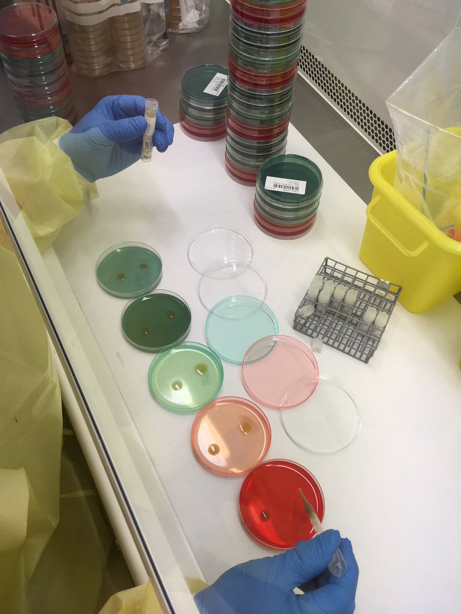 iResist_UiT's tweet photo. Analysis of more than 5000 #fecalsamples from the #tromsøundersøkelsen (survey number 7) to investigate carriage of multidrug-resistant #microbes in a general population. This happens @UNN_HF within the Norwegian National Advisory Unit on Detection of #AMR #WAAW2018 https://t.co/GmW2LZrgz1