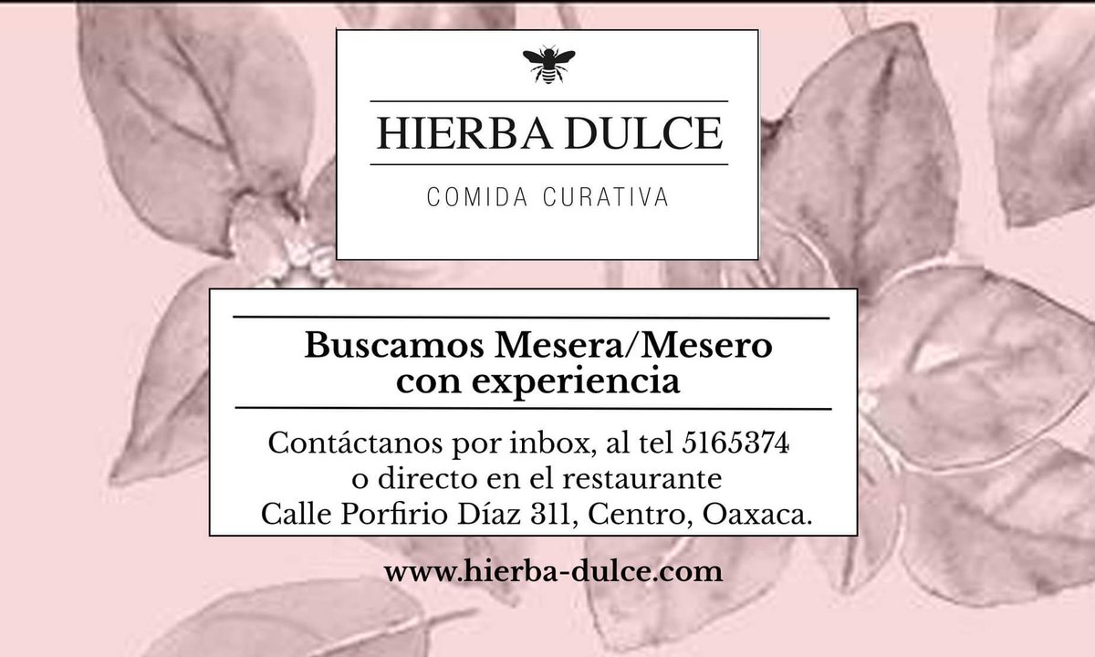 Hola, buscamos ayuda 🤗 #Oaxaca #ComidaCurativa