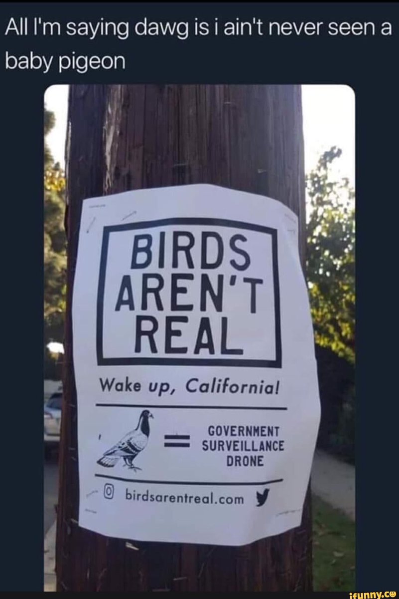 Colby_Dockens's tweet photo. Updating the movement with #birddrones https://t.co/D9tUL95mlQ