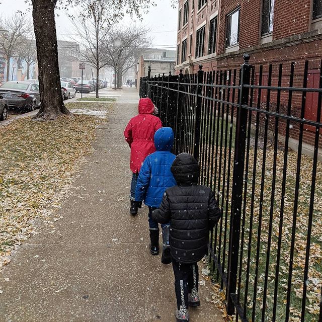 noaddressreqrd's tweet photo. Ducks in a row in the snow. 🦆❄️
.
.
.
#snow #urbanfamily #urbannomads #digitalnomads #snowyday #winterinfall #chicago #chitown https://t.co/whyg3YTg3g https://t.co/pUk9HWYEje