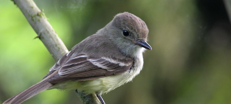cdarwinbhp's tweet photo. Look I just discovered a new species! https://t.co/MrDnqEk8R1