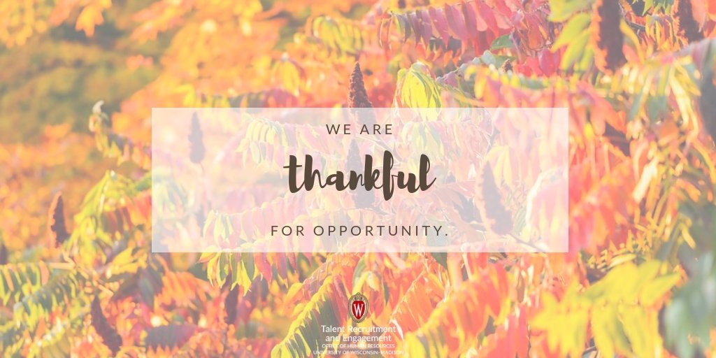 JobsAtUW's tweet photo. We are #thankful for #opportunity. @UWMadison currently has over 500 #employment opportunities available at https://t.co/IgwoxzkNeB. Join our team of 21,000+ employees as we #work to support the #WisconsinIdea! #WorkWithBucky #ThanksUW https://t.co/3vUDFTkNxM