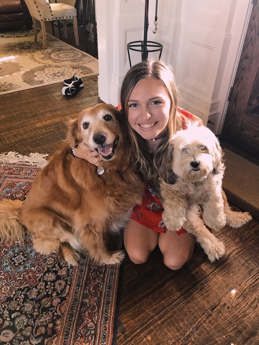 tuckjulia14's tweet photo. @taIIant my babies https://t.co/YFnWjCUkIB