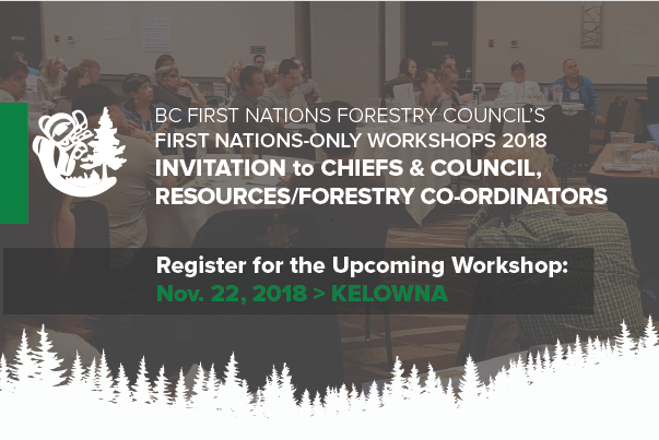 bcfnfc's tweet photo. Reminder to Chiefs & Council, Natural Resource / Forestry Coordinators: Our upcoming First Nations-Only Workshop is in Kelowna on Nov. 22, 2018.
Registrations are now open - https://t.co/w8ffDpypm7 #FNForestry #FNGovernance #FNStewardship https://t.co/aFUsHch57q