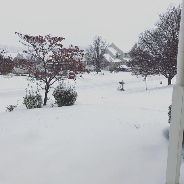 Ladyfree0331's tweet photo. Please make it stop! 😫 🚫❄️ #snovember #makeitstop #nomoresnow https://t.co/PhwyqX9F4n https://t.co/Q3xT0JpQmi