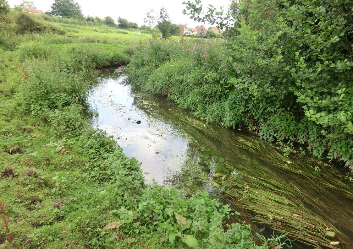 EnvAgencyAnglia's tweet photo. We want to hear your views on proposals to de-main some stretches of watercourse in #Norfolk. Please take part in the formal #consultation which is open now and runs until #December 2. @The_WMA 
#Demaining #Rivers https://t.co/uZJHBrxt5A https://t.co/VSCSl9zd6k