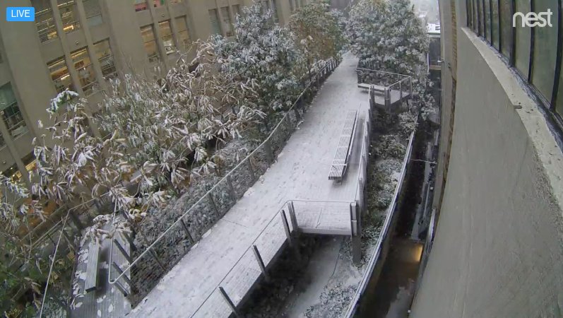 ArtBinder's tweet photo. See the first snowfall of the season here in NYC!
#artbinder #highlinecam @nest 
https://t.co/1byFcSKTv7 https://t.co/Ew4k8KgCpo