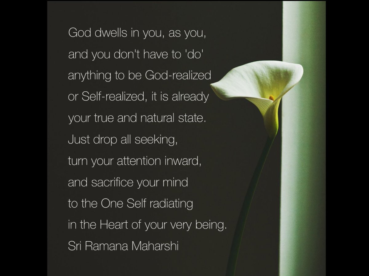 Sue 🌸✨ (@sweeetmamasue) on Twitter photo 