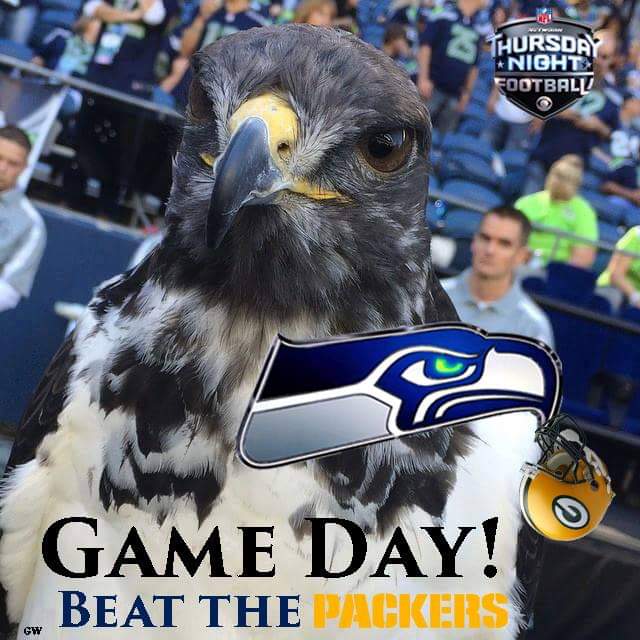 greg_woodfill's tweet image. Go Hawks! 💪💙🏈💚
#BeatThePack
