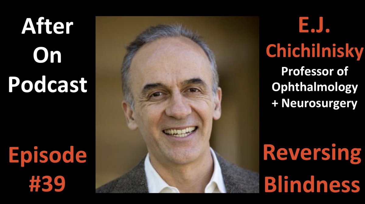 Amazing work at Stanford could reverse blindness. And one day, enable profound neural augmentation (!) Learn about the astounding neuroscience and engineering behind all this from its inventor, right here: bit.ly/AOCast39