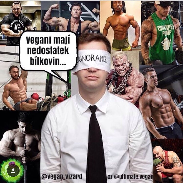 ultimate_vegans's tweet photo. Zase ty bílkoviny! Podle některých lidí jsou všichni vegani vlastně úplně zesláblí, průsvitní a na pokraji smrti🤔
Třeba všichni tito vegané na této fotce
💪🌱💪🌱
Původní obrázek od @vegan_vizard, thank you!
#vegancz #bilkoviny #kulturistika #kulturista #svaly #nabersvaly https://t.co/Qnu8dqAI5W