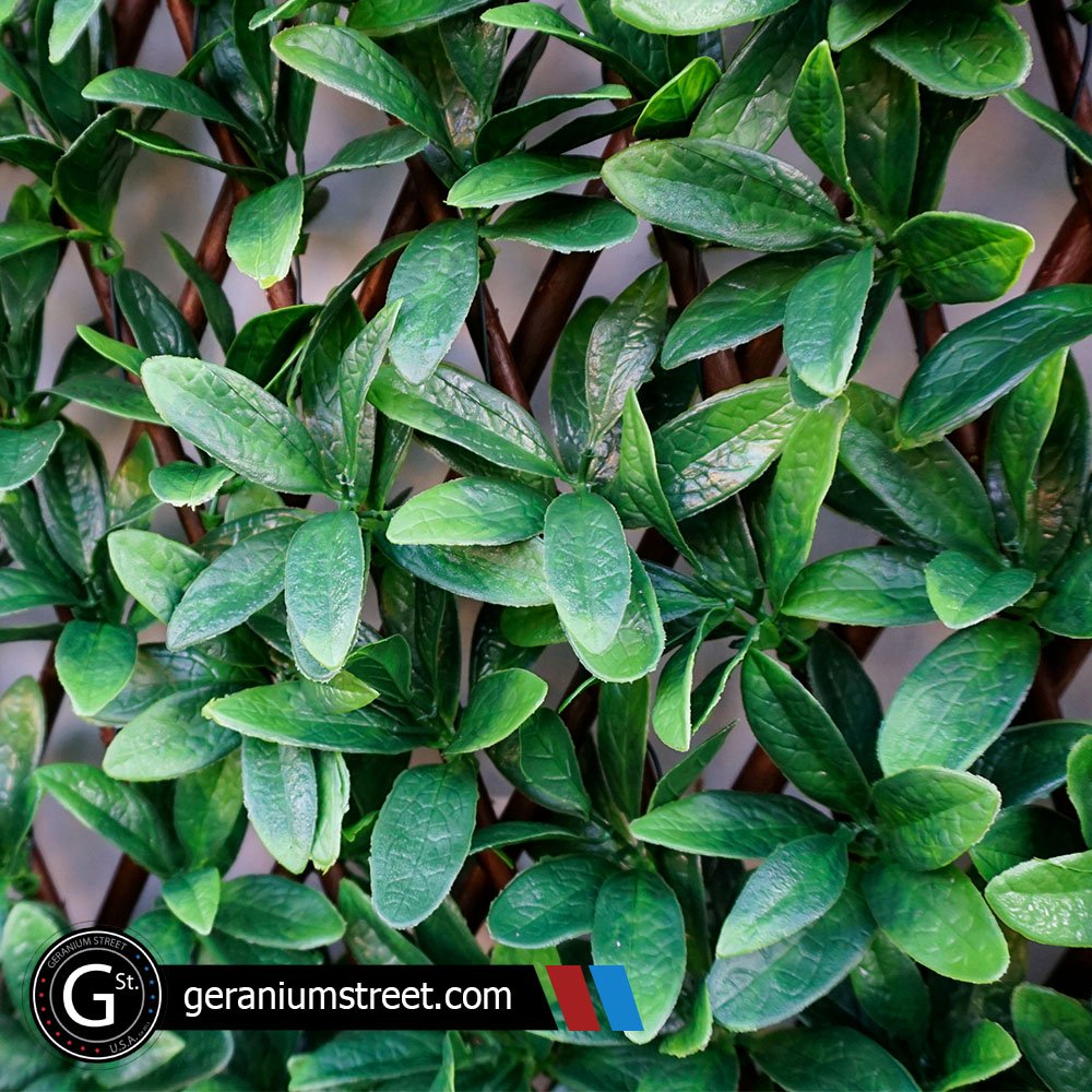 GeraniumStreet's tweet photo. #NEW: Our Dark Green Expandable Trellis is the perect way to create a little privacy and add a touch of greenery t your space: https://t.co/hFY8GrwibO
#Trellis #Landscaping #DefineSpace #CreatePrivacy #NowAvailable https://t.co/oHkUX8HriN
