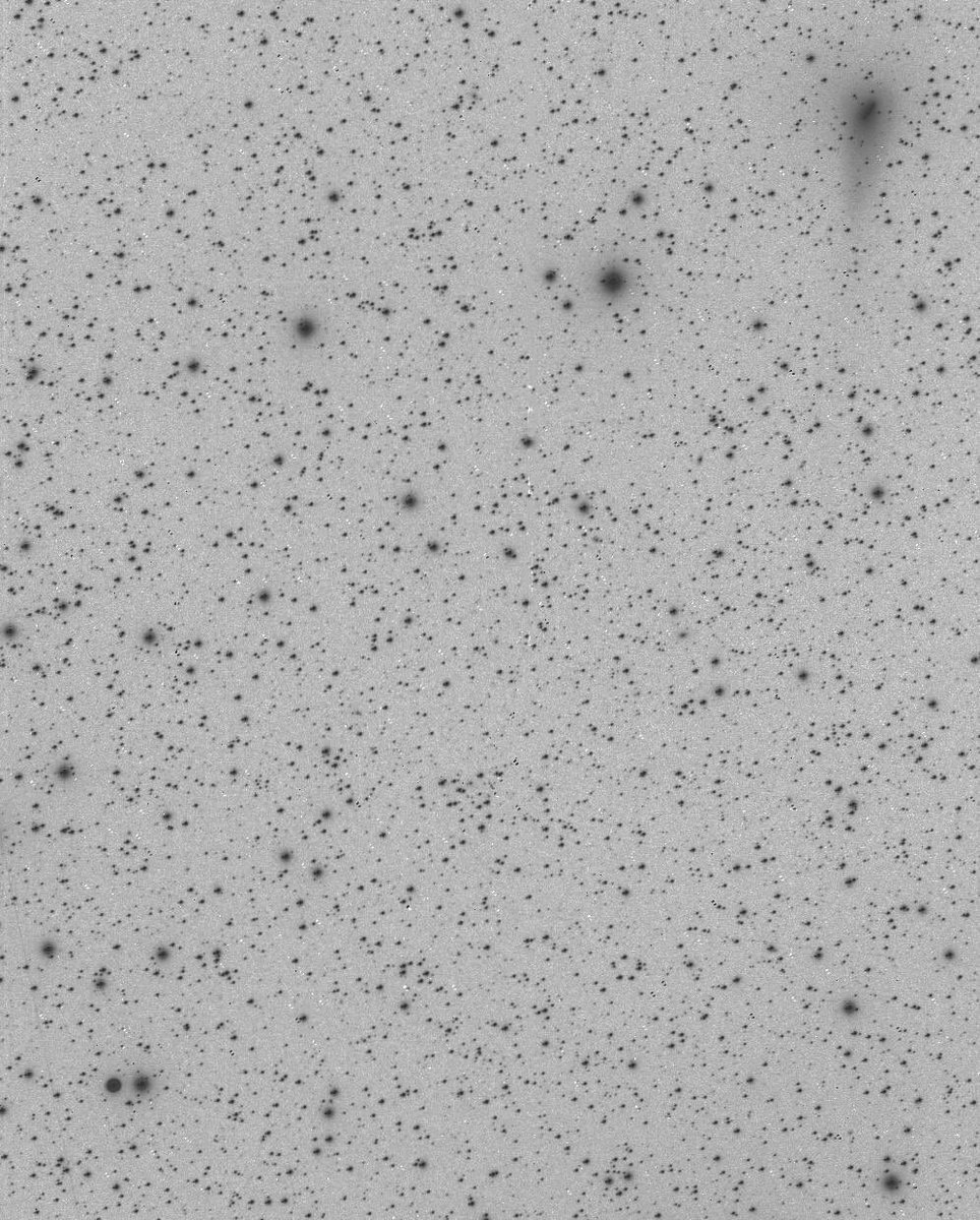 thelondonastro's tweet photo. Comet 38P Stephan-Oterma (top right) with NGC2392 (dark circular object bottom left)
Inverted luminance - 6x120 seconds. Shot on the 11th November from Mayhill New Mexico.
#astrophotography #comet #38p #stephanoterma #oterma #space #astronomy https://t.co/B4dkPNYBoo
