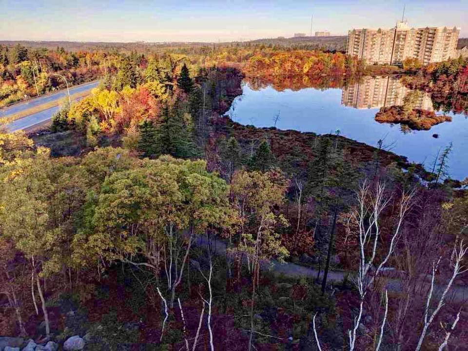 UnitedGulfDev's tweet photo. Falling for the views here at The Waterton Condominium 🍂🍁
There is no place I'd rather be. https://t.co/gom7c9zpsR