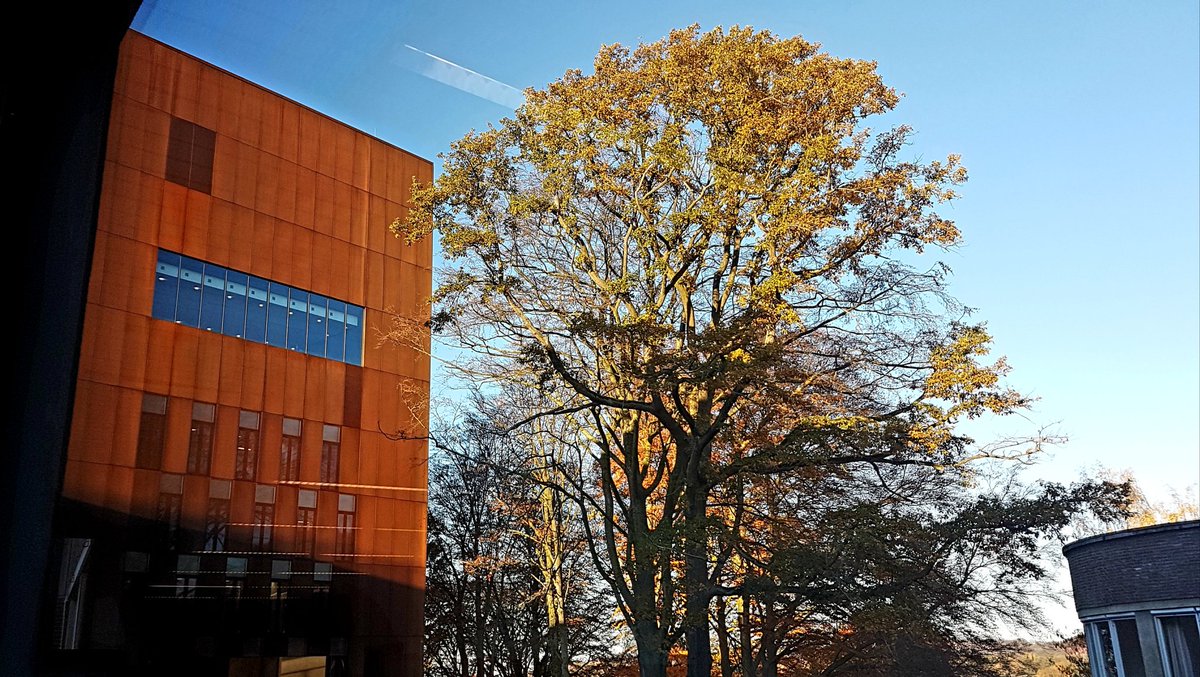 CarlotteK's tweet photo. A #rehabilitation unit with a view...in fall... #therapytower @revaPellenberg @UZLeuven https://t.co/53fWqaLSeA