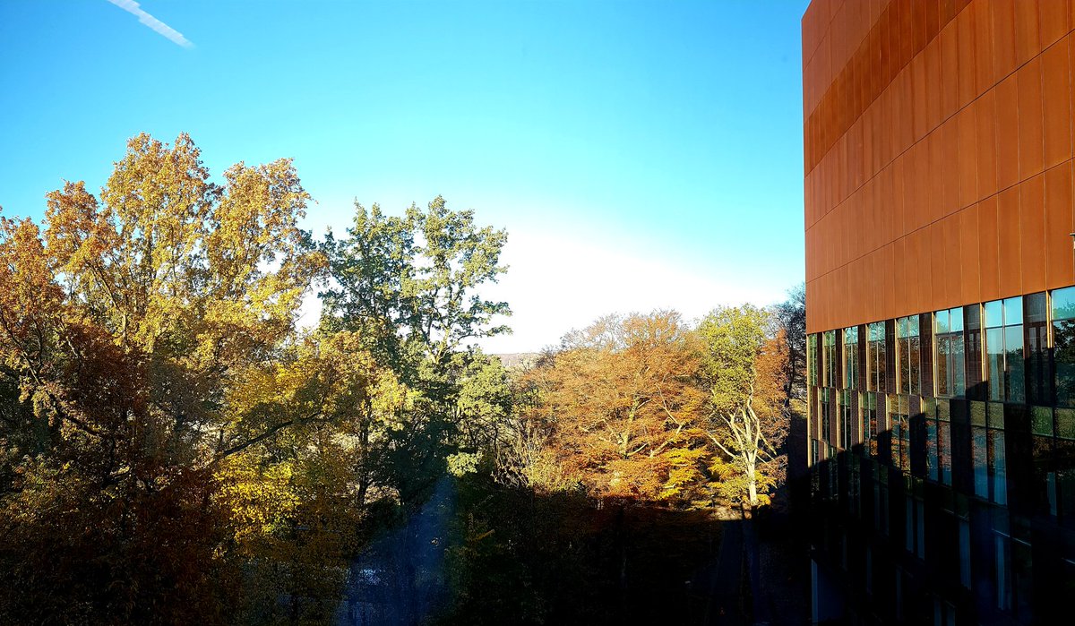 CarlotteK's tweet photo. A #rehabilitation unit with a view...in fall... #therapytower @revaPellenberg @UZLeuven https://t.co/53fWqaLSeA