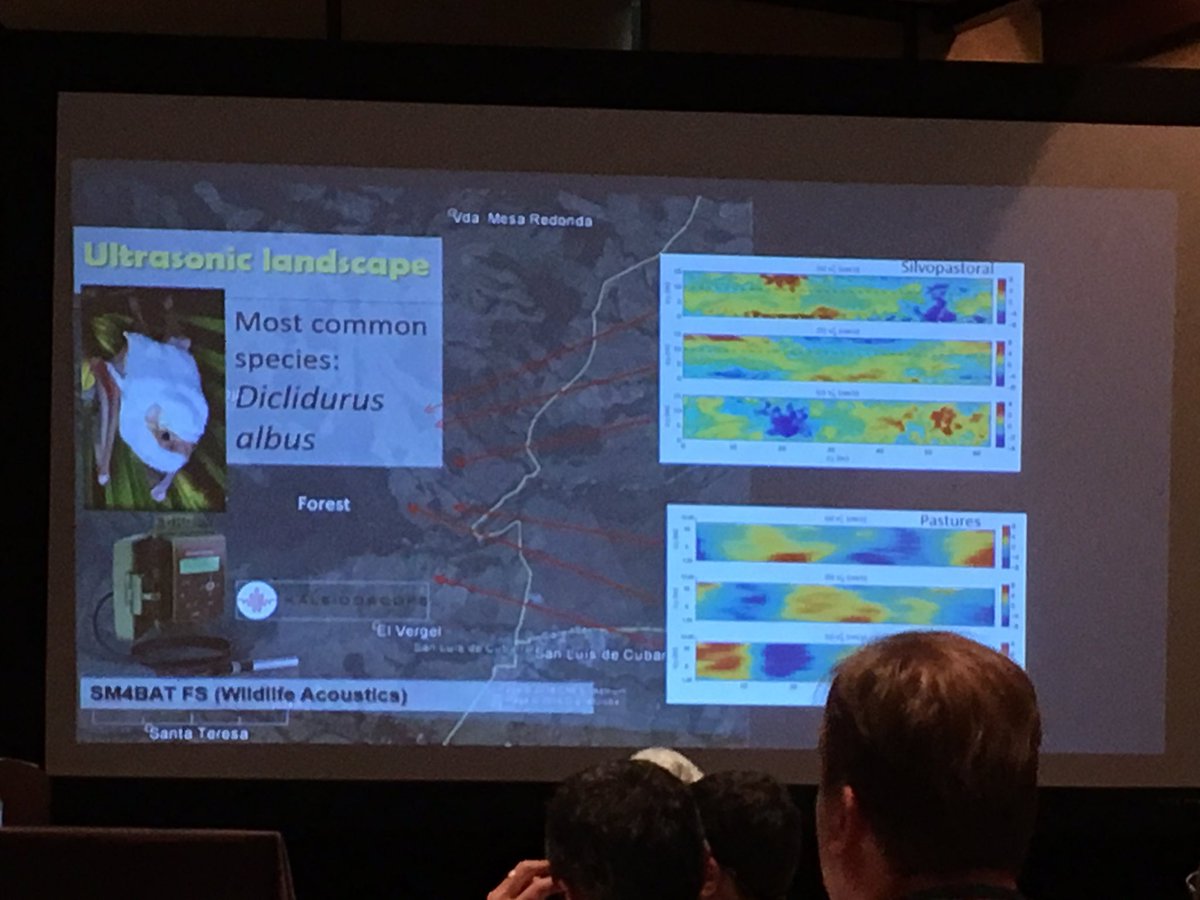 JSandersonCO's tweet photo. My favorite talk during @nature_org #TNCscience conference: using bioacoustics to track bat #biodiversity in Colombia. Fabulous seeing so much international work from Indonesia, China, Mongolia, Brazil, subSaharan Africa and more. https://t.co/E3QX2R4KLd