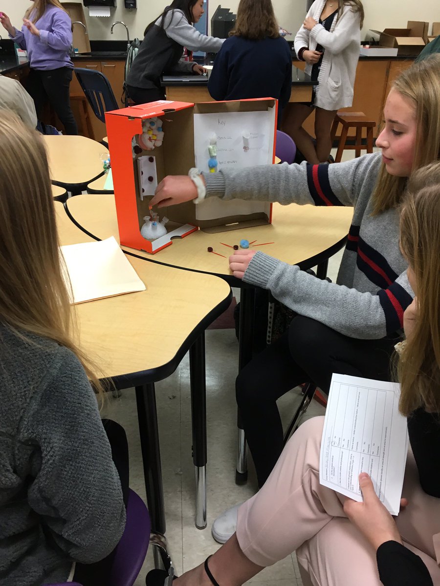 OCONMRSHOLTZMAN's tweet image. #PrinciplesofBiomedicalScience students showing their #oconpride and using #ScientificModels to teach others about #diabetes