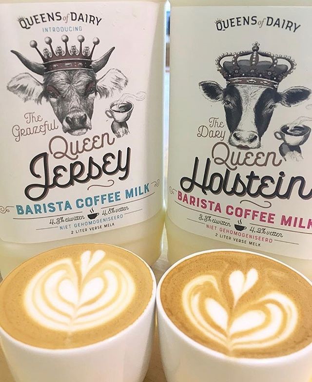 queensofdairy's tweet photo. Nu bij @keuringsdienst_van_waarde verschil tussen #holstein #jersey #baristamelk #echtemelk https://t.co/TUtM50Nskw