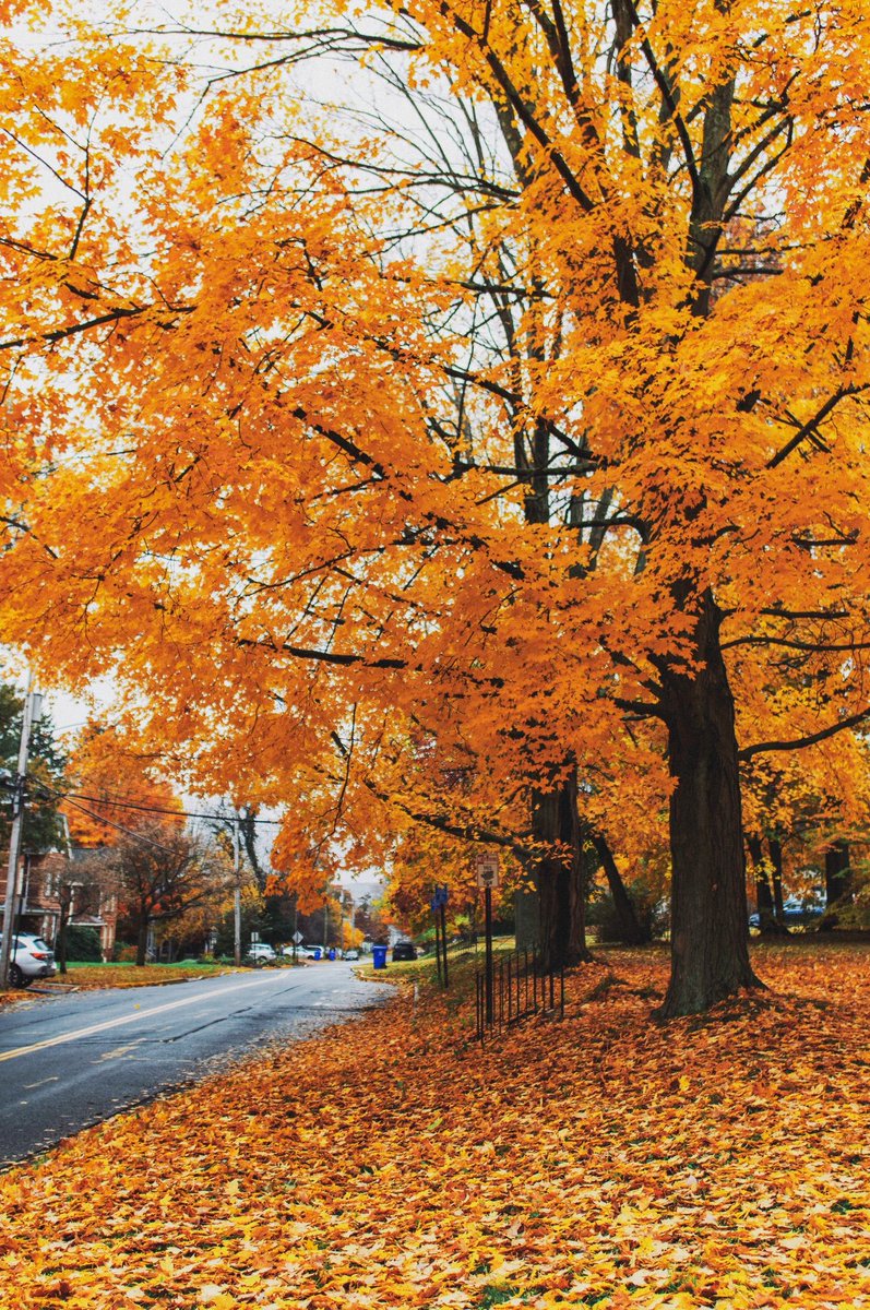 An Important Lesson Taught by #Autumn: accept what you are holding onto and then let it go (this is how everything changes). 

You are not defined by your past. Please remember that.