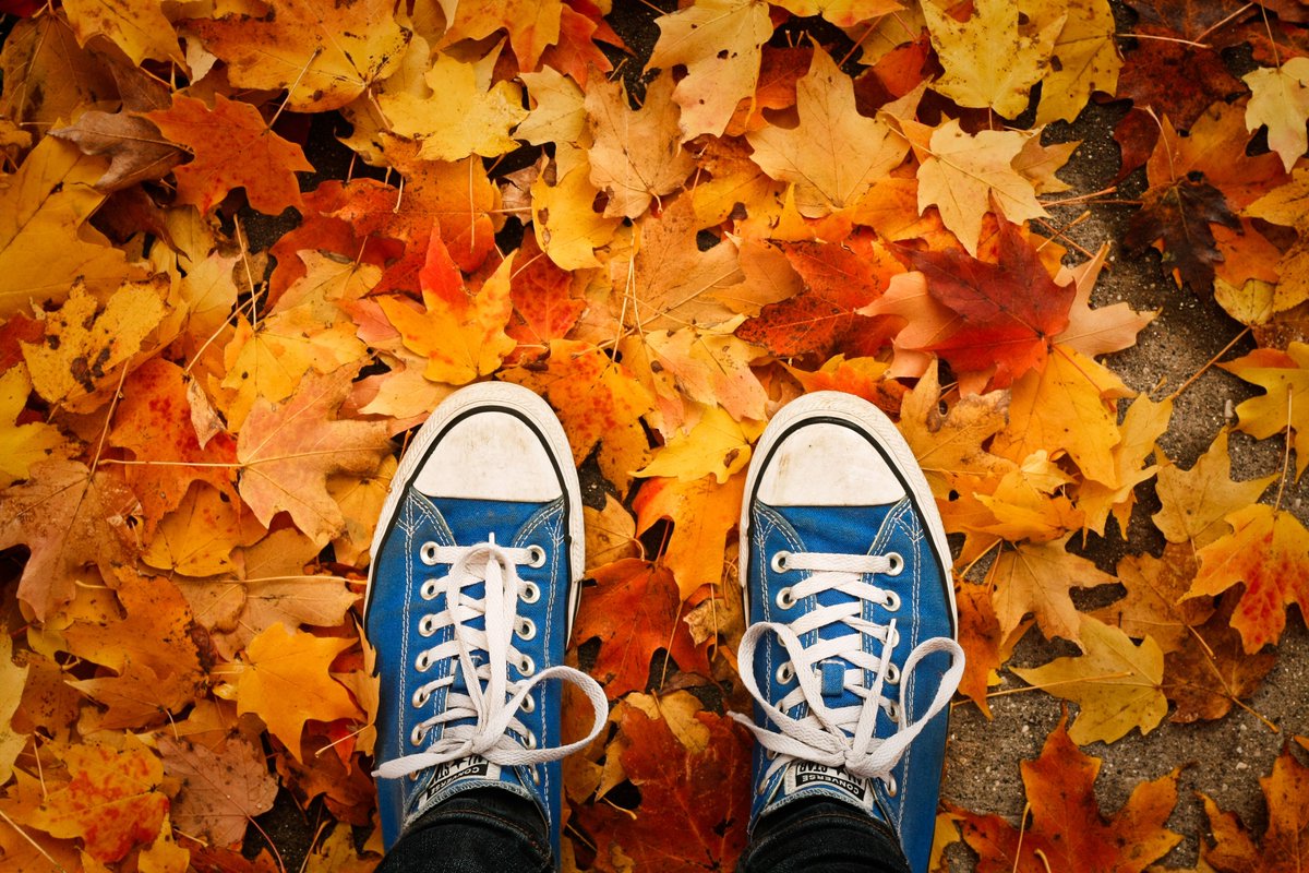 GingerHostel's tweet photo. Our beautiful golden #autumn 🍁🍂🍁 is almost over in #Krakow ☹️ but the winter fairy tale is about to start ⛄️ ⛄️ ⛄️ ⭐️ ⭐️ ⭐️ #ginger #gingerhostel #hostel https://t.co/NpZ11uCMqh
