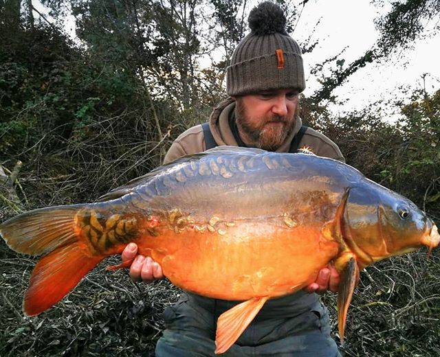CARPdiem_Mag's tweet photo. Autumn #carp #tigermut #chufa #pescando #carpfishing #adcenture # wildcarp https://t.co/ruRElsBZHM