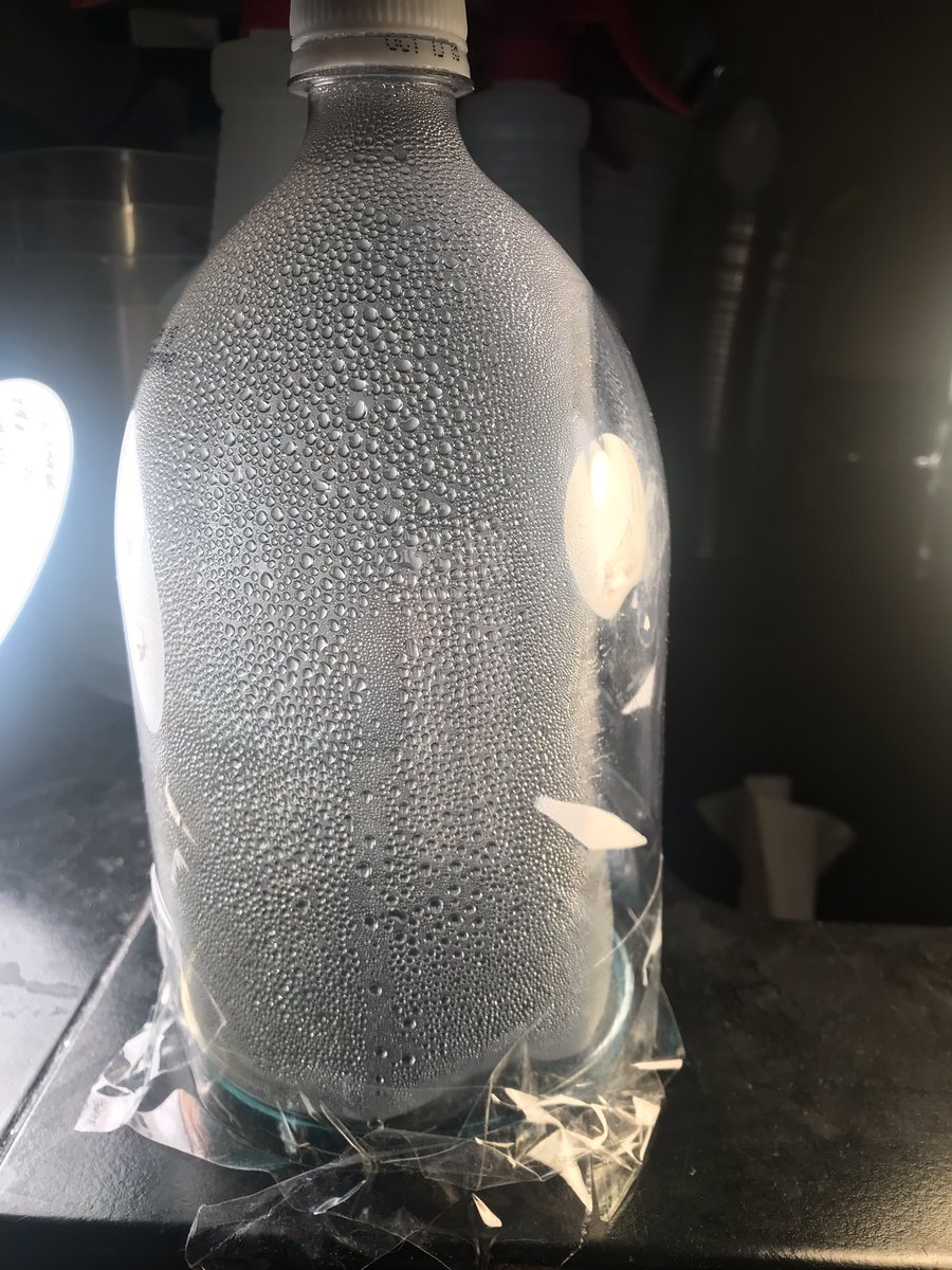 MrMBlanks's tweet photo. 6th gr. Rainmaker model from @MTU_MiSTAR looking good so far! Can’t wait to see Ss drawn models tomorrow. https://t.co/kIYizQ9pt1