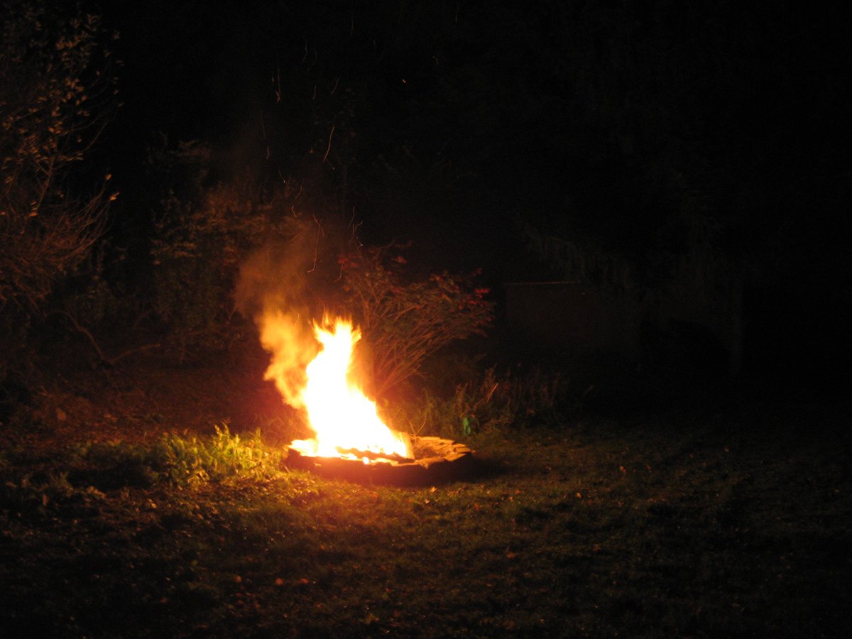 RealGregL_Goose's tweet image. referencing previous posts, True progress now! #OneMind #DreamBig #trueprogress #NewAgeDawning #RichCanSolutionOrProblem #FutureStartsNow #challengesOvercomeNotHide The future looks bright for all! A world without (or with much less) hunger, homelessness, bullying, hopelessness,