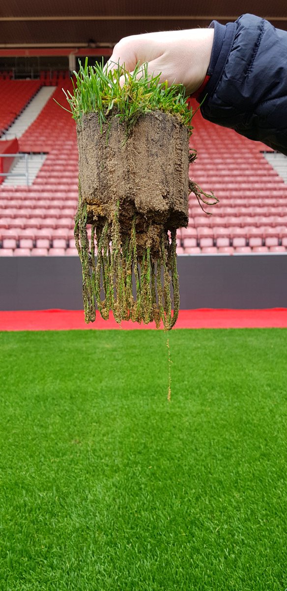St Mary's stadium looking great, goodgroundsmen #goodbiologyworking