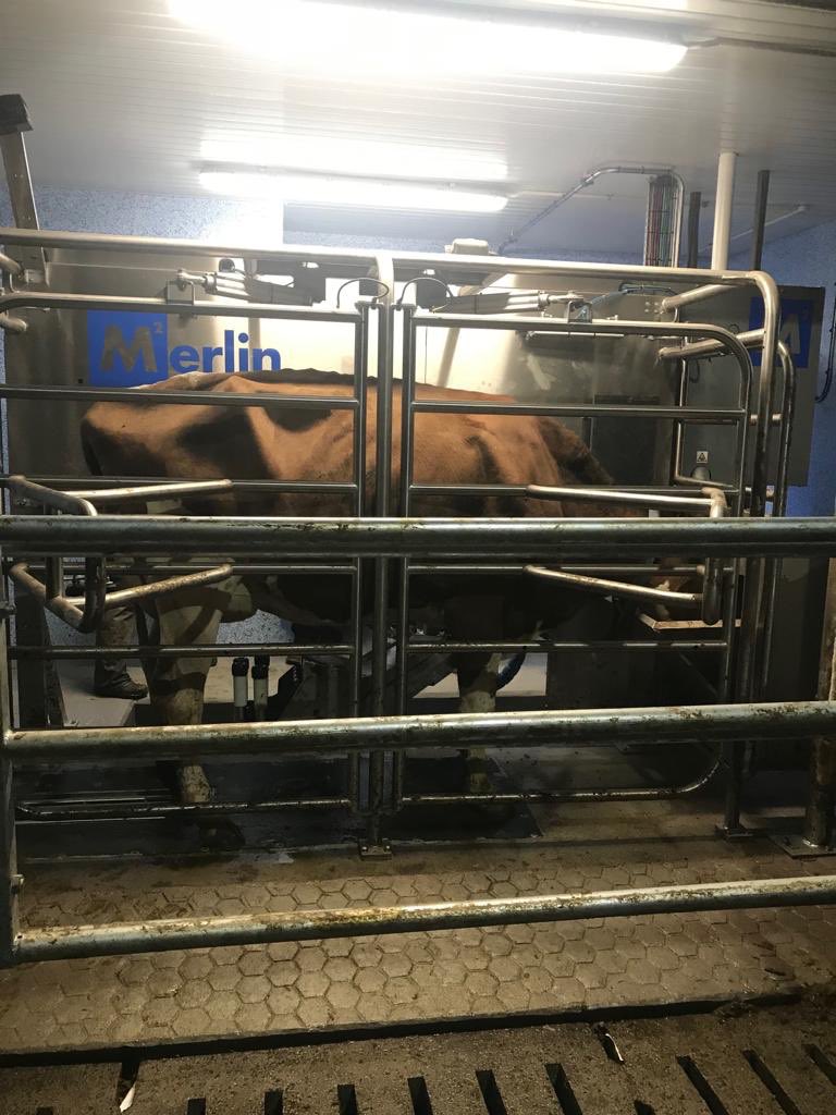 McCaskie Ltd tweet media