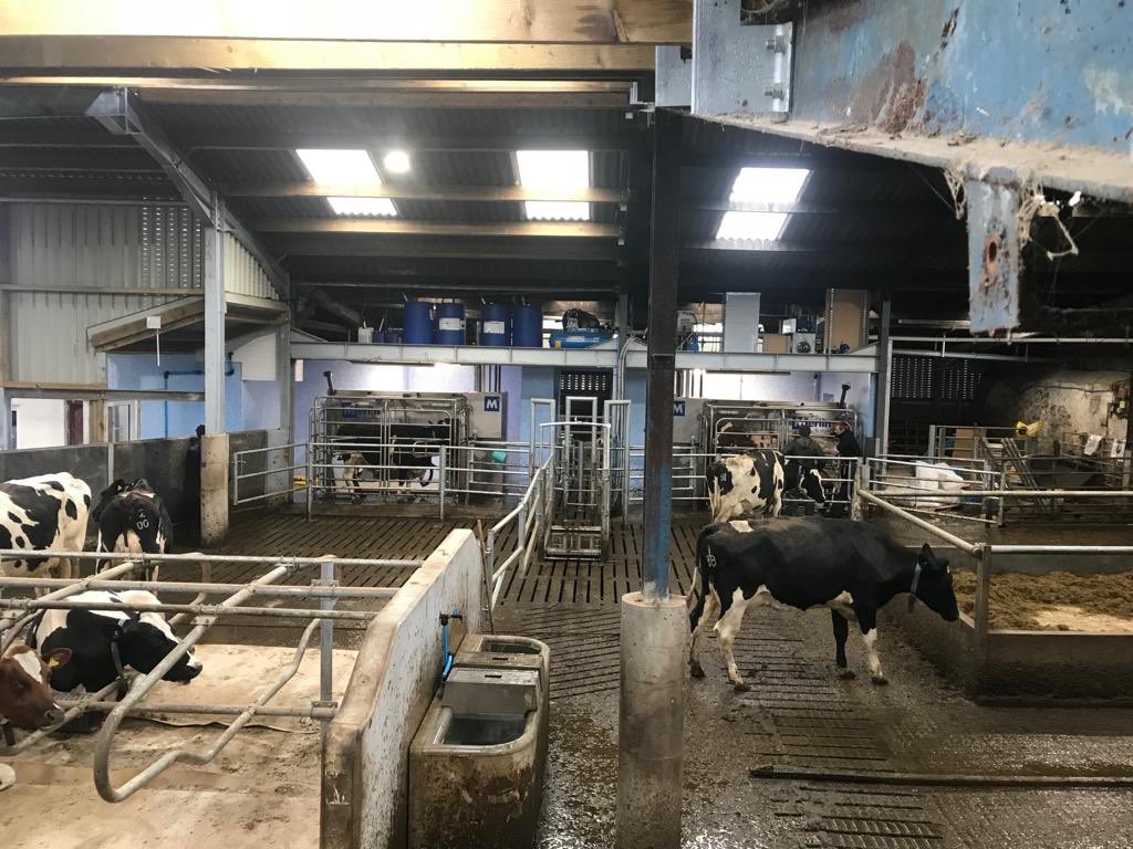 McCaskie Ltd tweet media