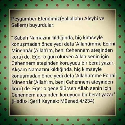 Efendi_KS's tweet photo. https://t.co/hnjPjo4W1h