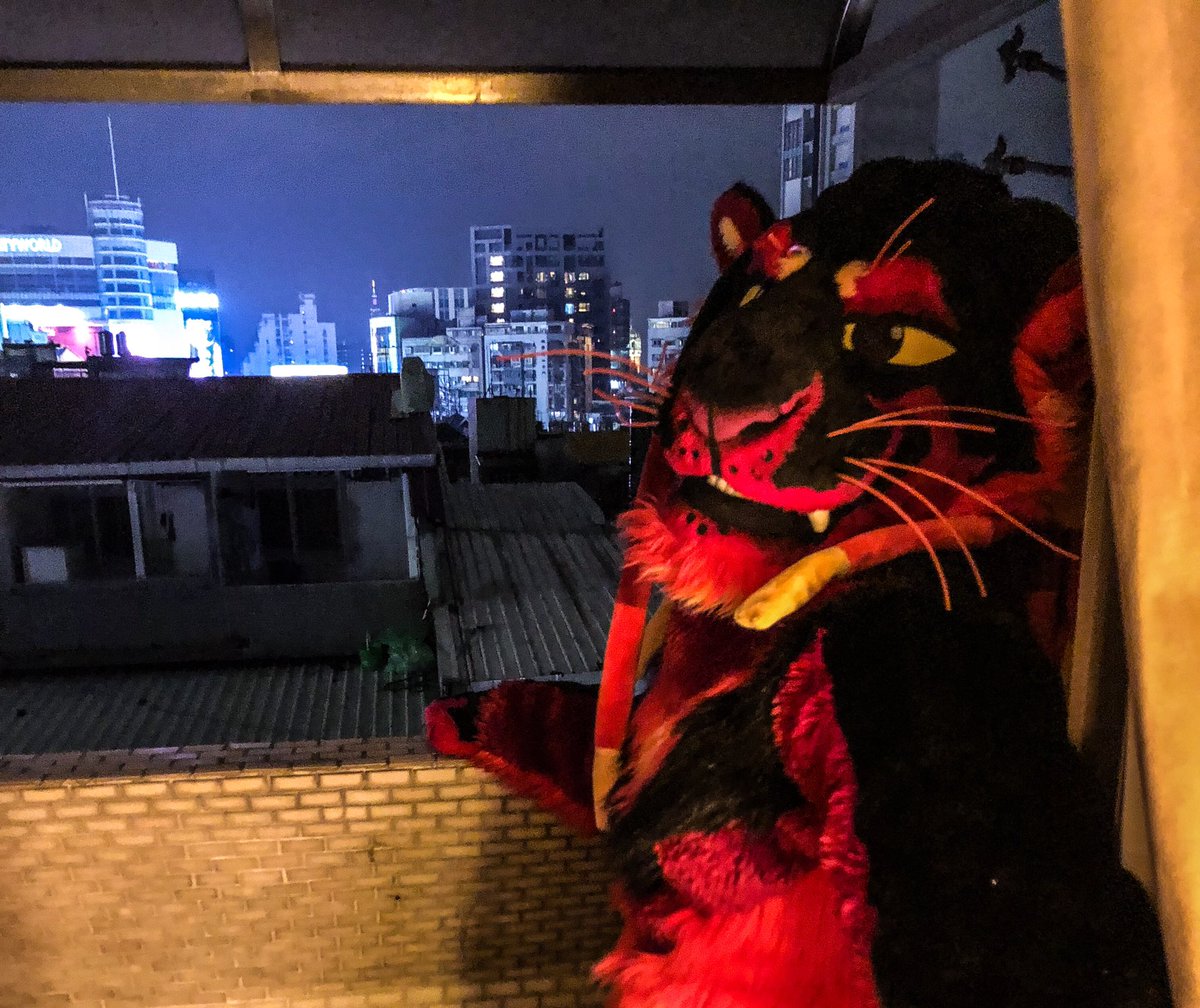 aymstel's tweet photo. 7th Floor https://t.co/RKMT8xChoK