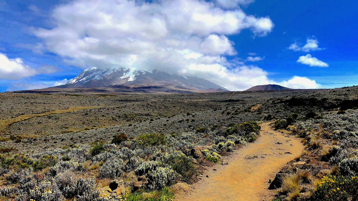 JayAhmed132's tweet photo. Kilimanjaro Trekking last July.
#Kilimanjaro #trekking #africa #blue #JayManTravel #colour #sky #views #life #landscapedesign #mountains #summit2018 #travelingram #beautiful #landscapephotography #naturephotography #clouds #outfitinspo #tracks https://t.co/nnUtwXOKIF