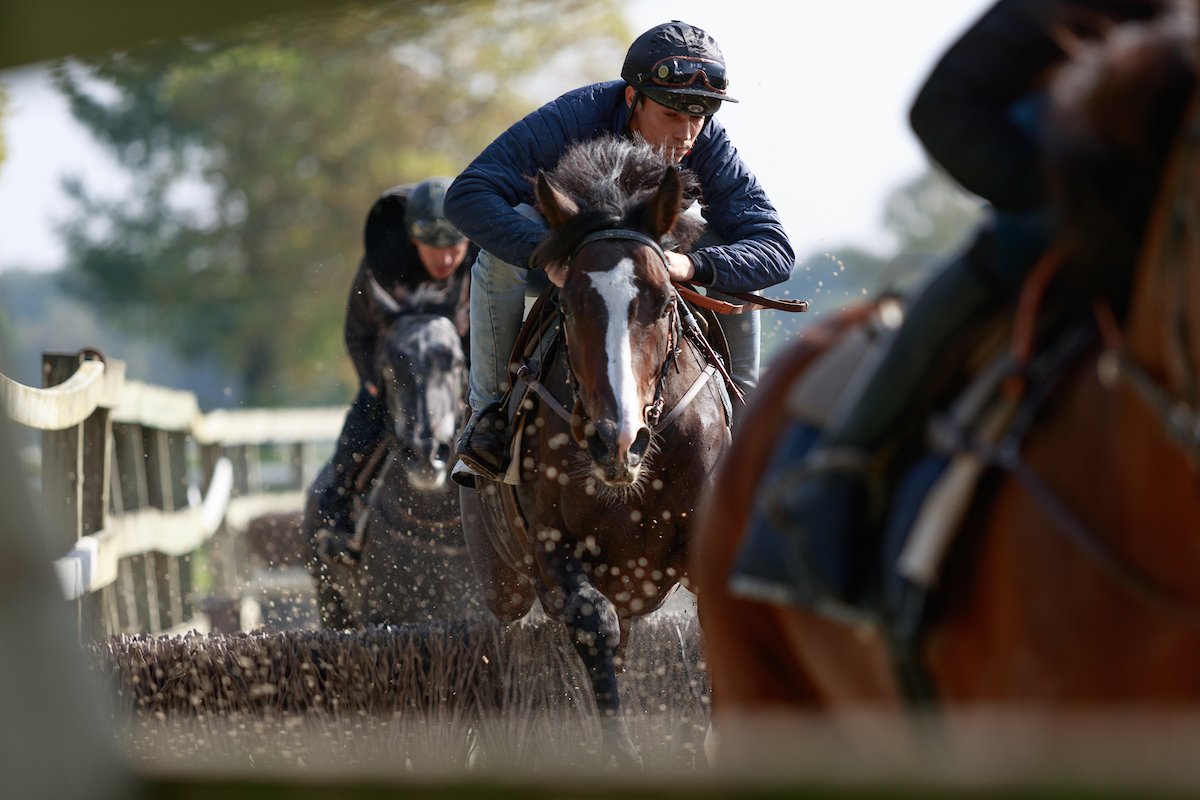 HDL_racing's tweet photo. [ ÇA JUMPPP... ! ]
Séance dans le manège pour les jeunes pousses 🐎 
#DomainedeSers #Obstacle #Horse #Race https://t.co/bGmkxYj9TP
