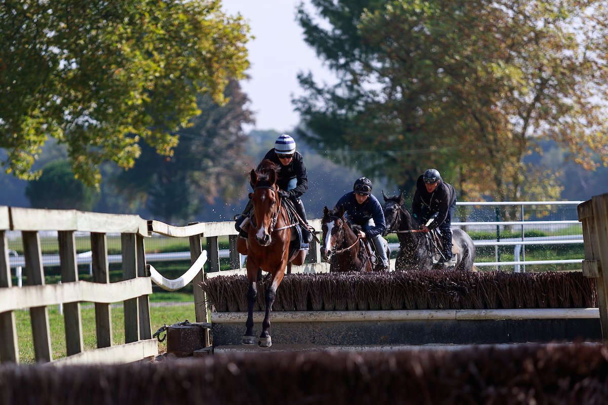 HDL_racing's tweet photo. [ ÇA JUMPPP... ! ]
Séance dans le manège pour les jeunes pousses 🐎 
#DomainedeSers #Obstacle #Horse #Race https://t.co/bGmkxYj9TP