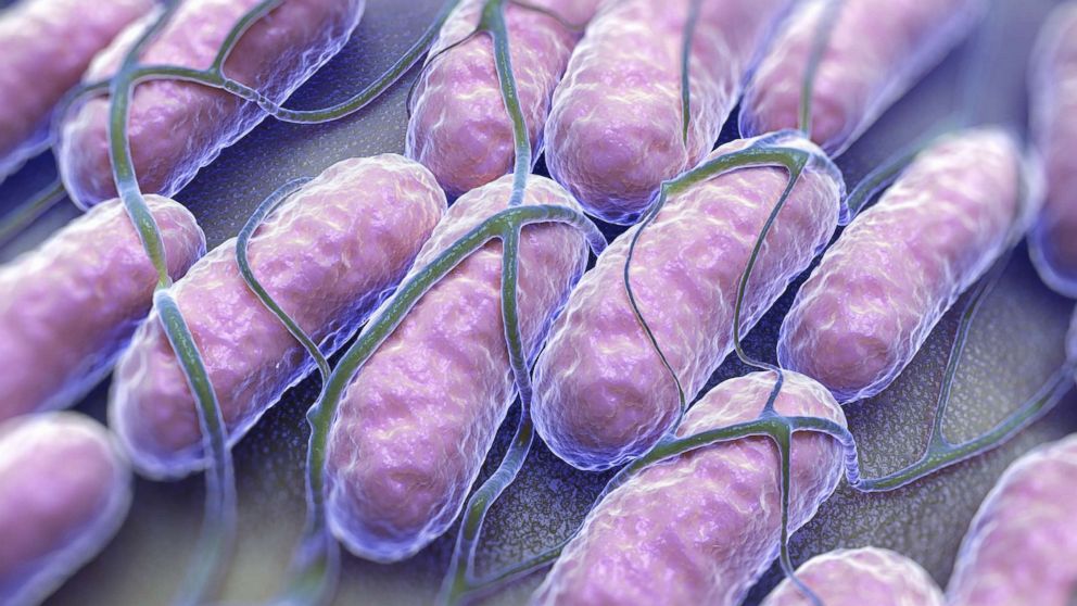 Public health and regulatory officials are under pressure to identify the turkey brands linked to the recent salmonella outbreak before Thanksgiving. abcn.ws/2zdn3zU
