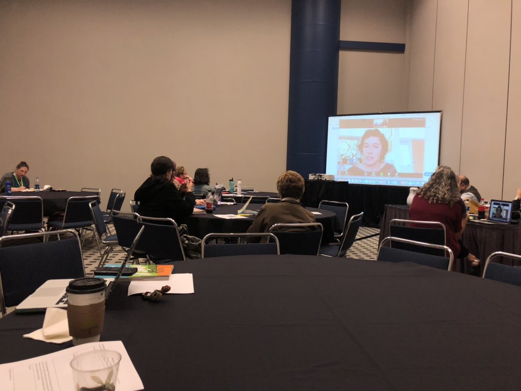 Filmmaker @juliameltzer skypes into the <a href="/DocAcademy/">DocAcademy</a> pre-conference at #NCTE18. #POVintheClassroom