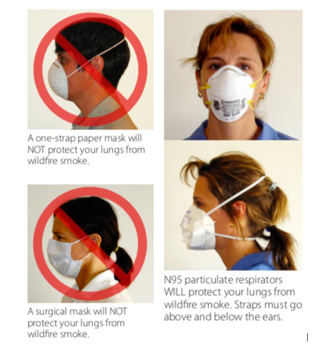 BioDiversitySC's tweet photo. Protect Your Lungs from Wildfire Smoke. Choose a “particulate respirator” mask that is “NIOSH” and “N95” or “P100” printed on it. Choose a mask that has two straps that go around your head. DO NOT choose a mask with only one strap. #conservationBioUSF https://t.co/0cdJt6iJsk
