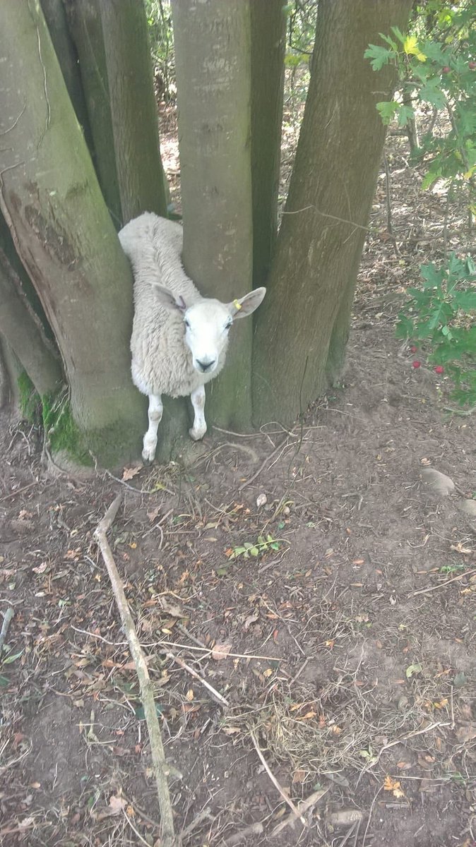 Richard Parry tweet media