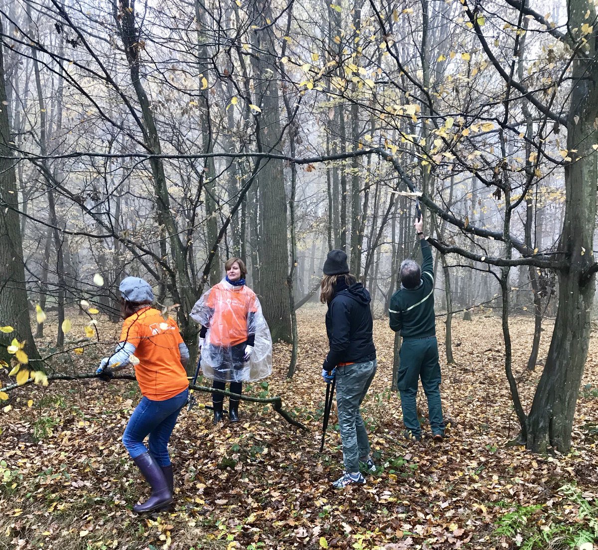 Karinemalca02's tweet photo. Aujourd’hui, la Direction des Sinistres France @AXA_XL aux côtés de l’@ONF_Officiel dans la forêt de l’hamadryade.Entretien de sentiers et construction d’abris pour animaux 👏pour ce #teambuildingsolidaire #AXAAtoutCoeur au service de la protection de l’environnement 🌳🌲🐾🐾 https://t.co/TTTQHefawy